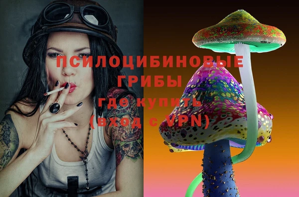 индика Богородицк