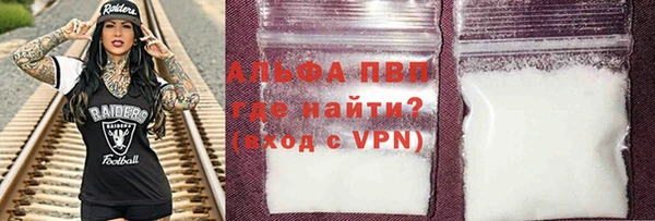 индика Богородицк