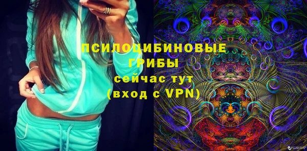 индика Богородицк