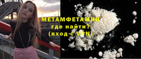 индика Богородицк