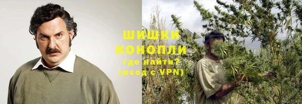индика Богородицк