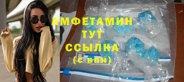 индика Богородицк