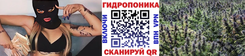 Конопля план  Новоржев 
